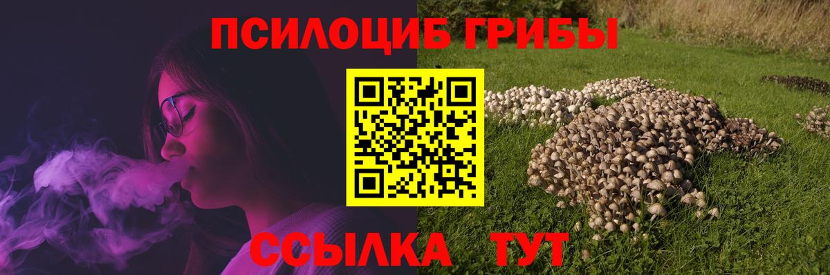 Галлюциногенные грибы мухоморы Кизляр