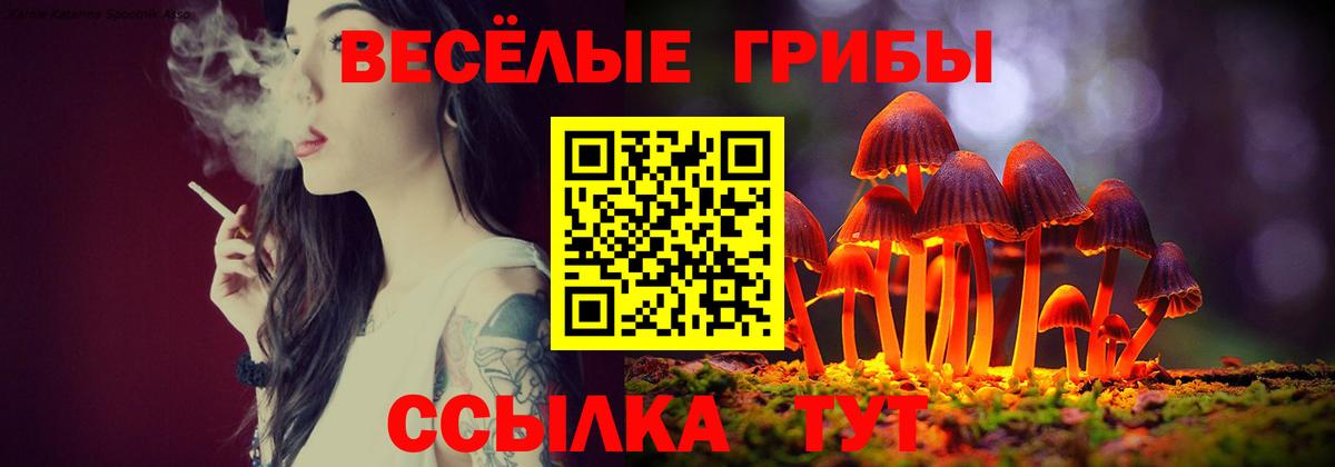 Псилоцибиновые грибы GOLDEN TEACHER  Вход с VPN  Кизляр 