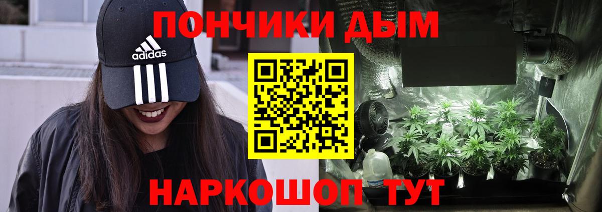 Кизляр  МАРИХУАНА марихуана  Марихуана сатива  Вход с VPN 